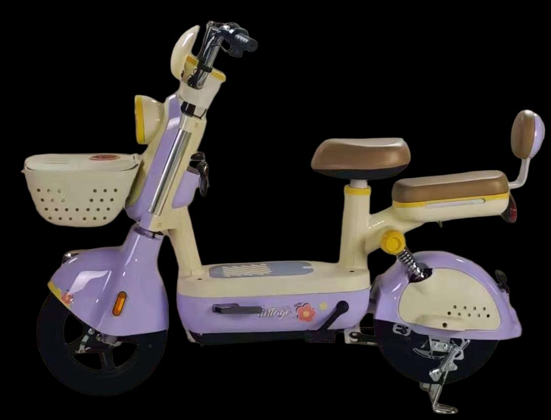 A-05 Golden Eagle Electric Bicycle