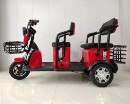 A-65 V1 Electric Tricycle Electric Bicycle