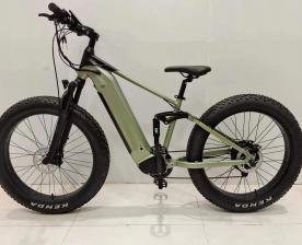 A-76 X9 All-Terrain Electric Bicycle